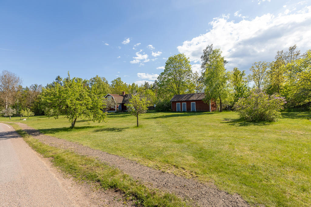 Inbjudande trädgård