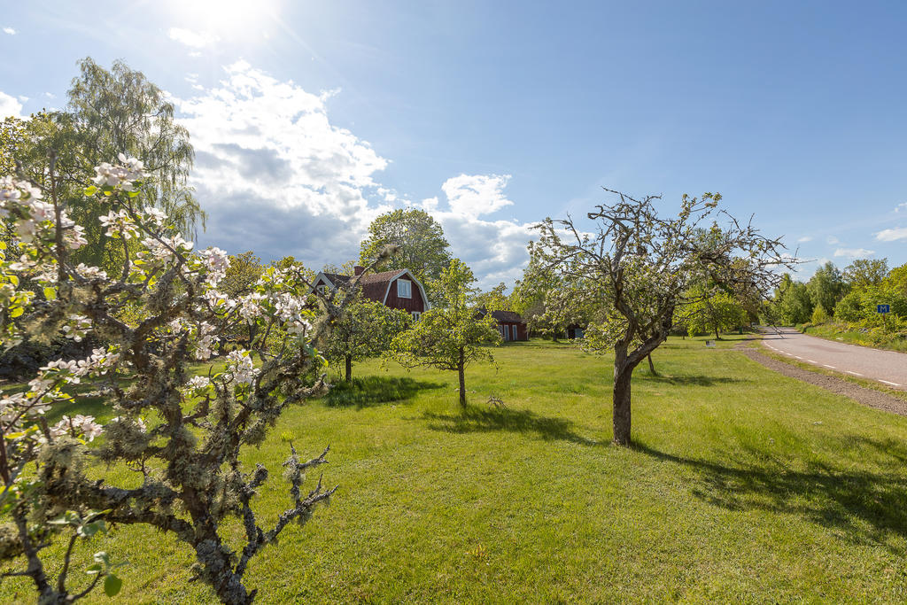 Lummig och mysig trädgård