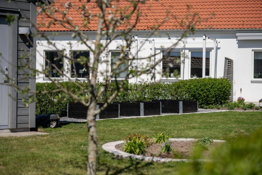 Vacker trädgård
