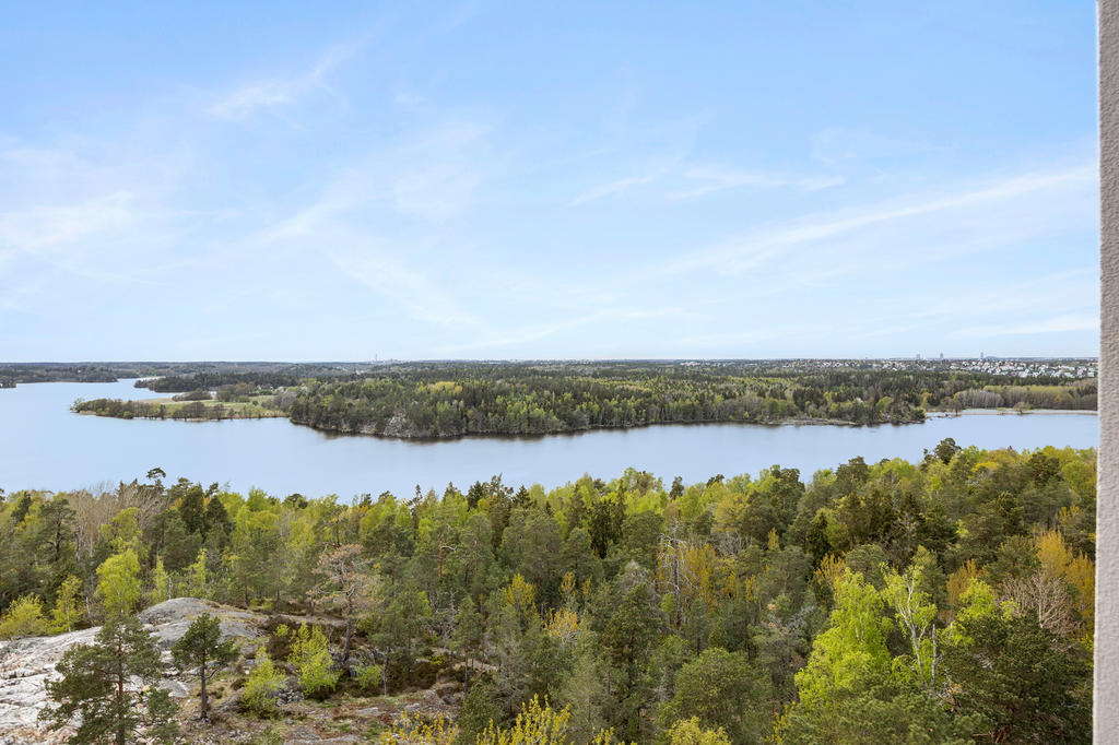 Utsikt från kök & vardagsrum