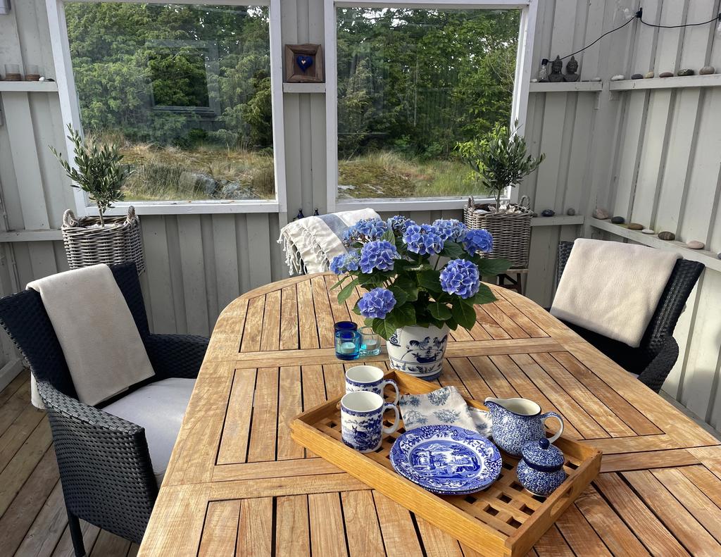 Mys i uterummet (säljarens bild)