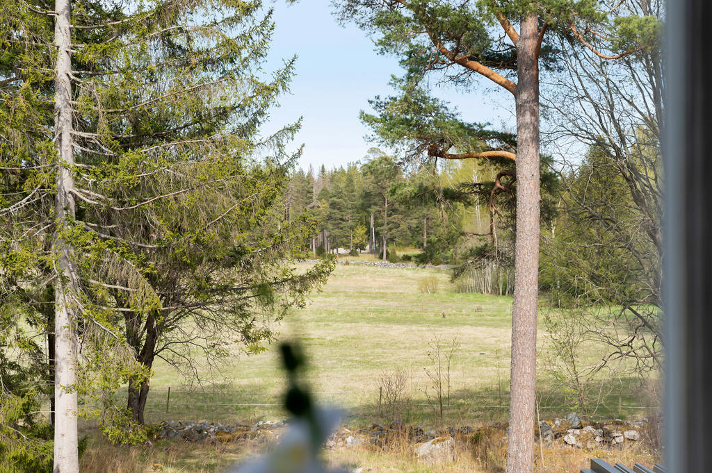 Utsikt från det större sovrummet