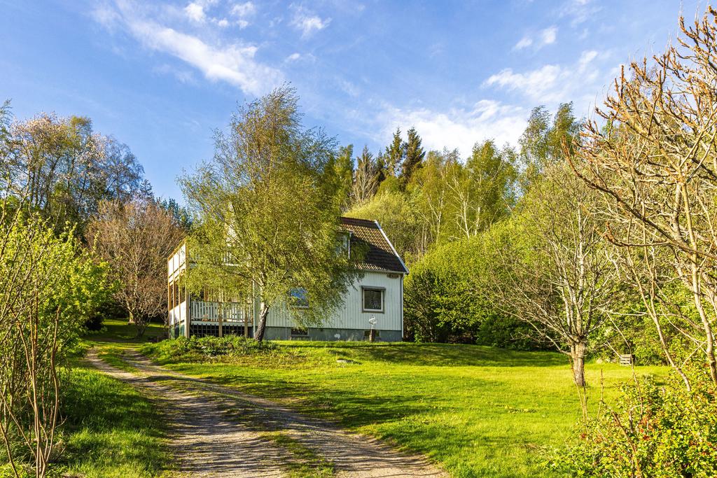 Fint läge med skogen som granne 