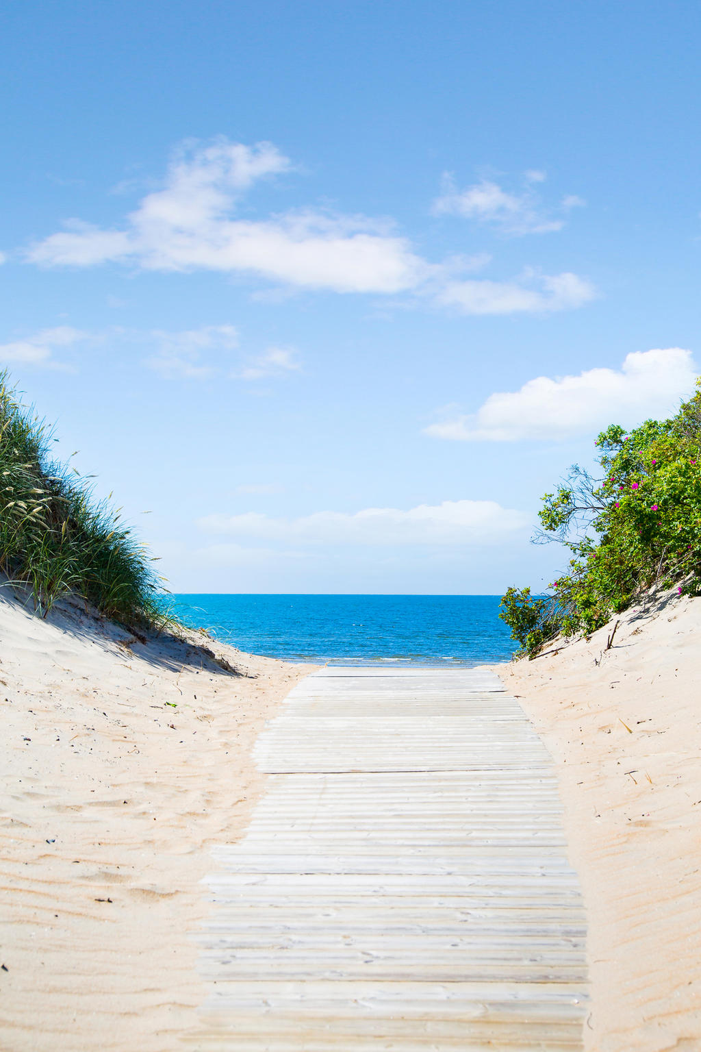 Områdesbild från Skrea Strand