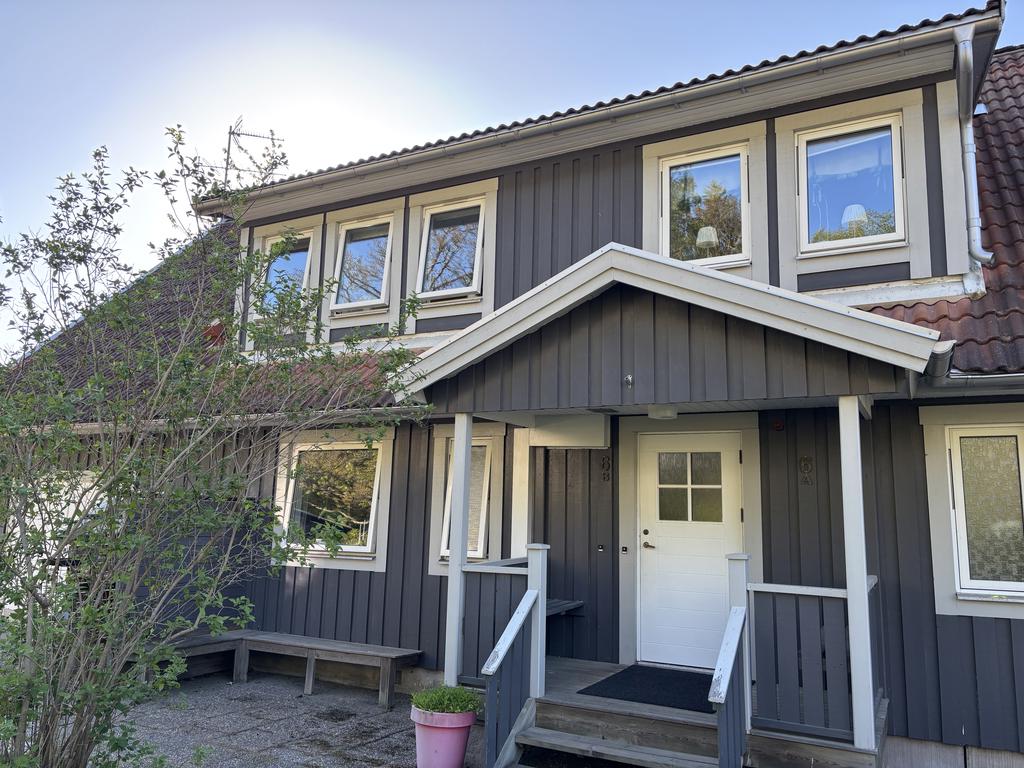Säljarens egna bild