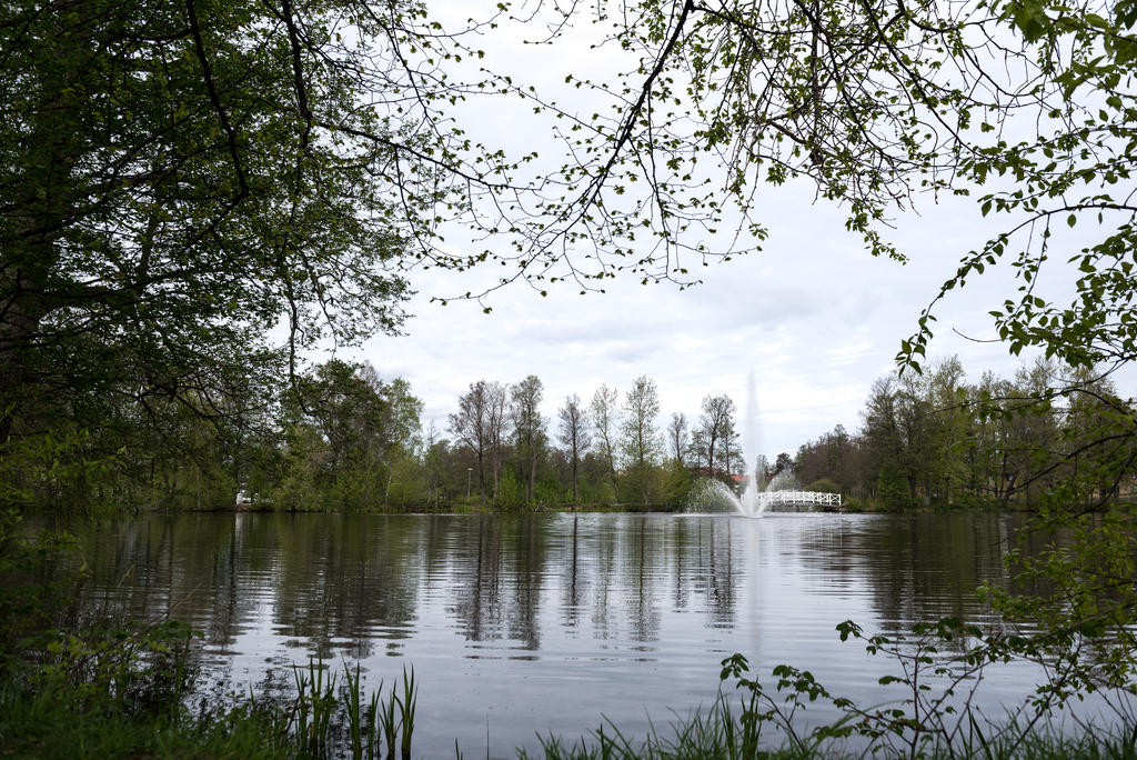 Närhet till Stadsparken och dammarna.