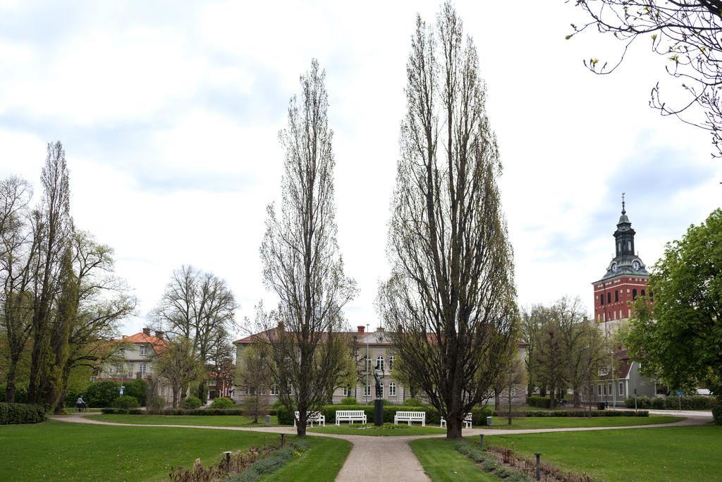 Närhet till Stadsparken och dammarna.