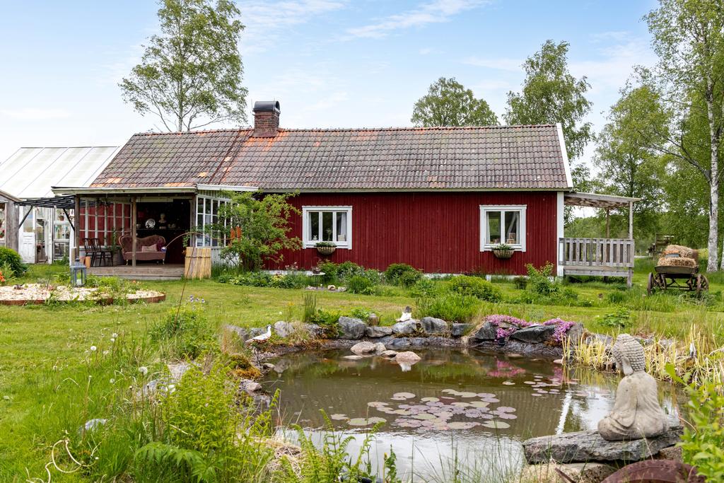 I trädgården finns en liten damm med näckrosor i.
