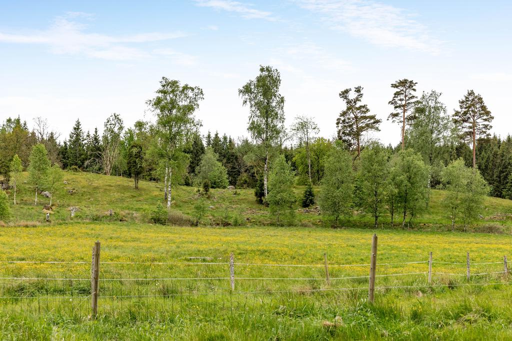 Bild över naturen.