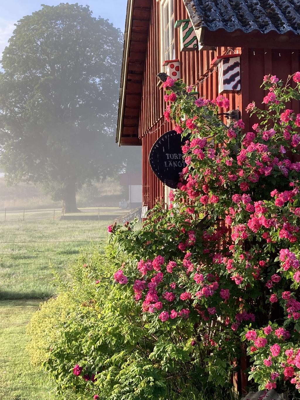 Säljarens egen bild.