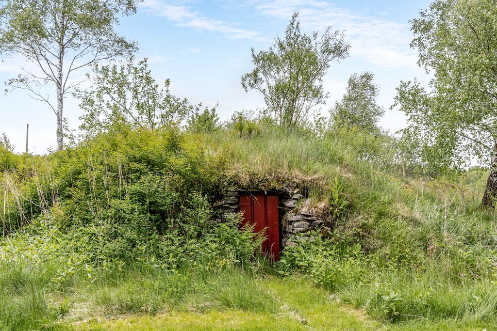 Jordkällare.