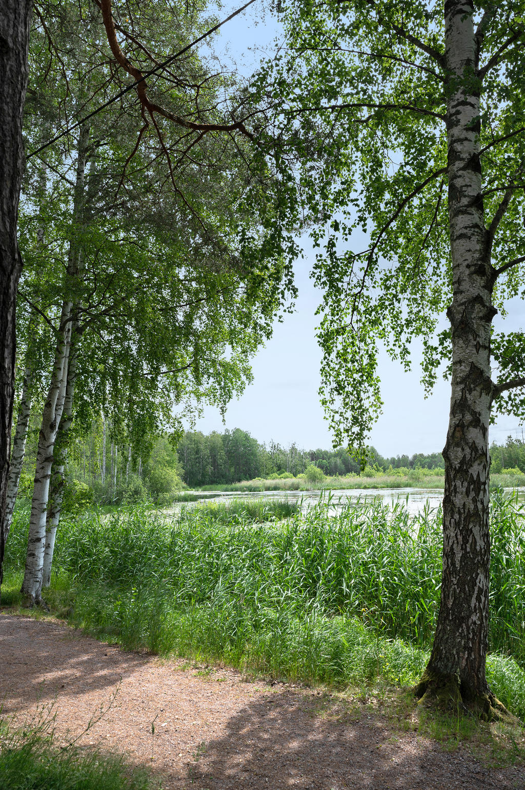 Promenadstråk vid Rudsjöstrand