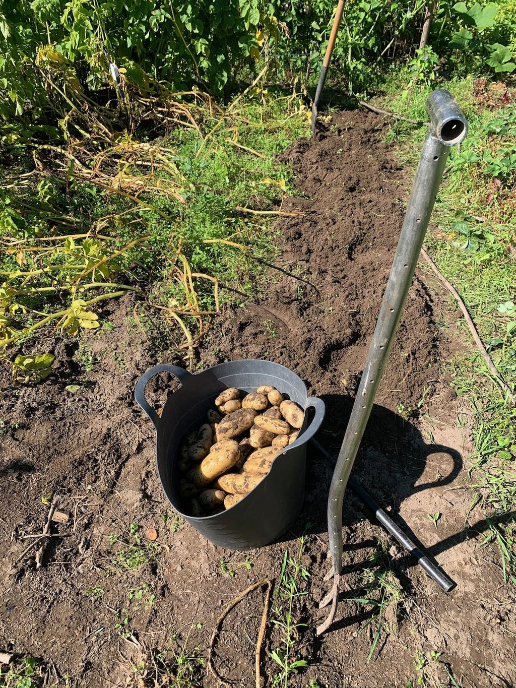 Potatisland