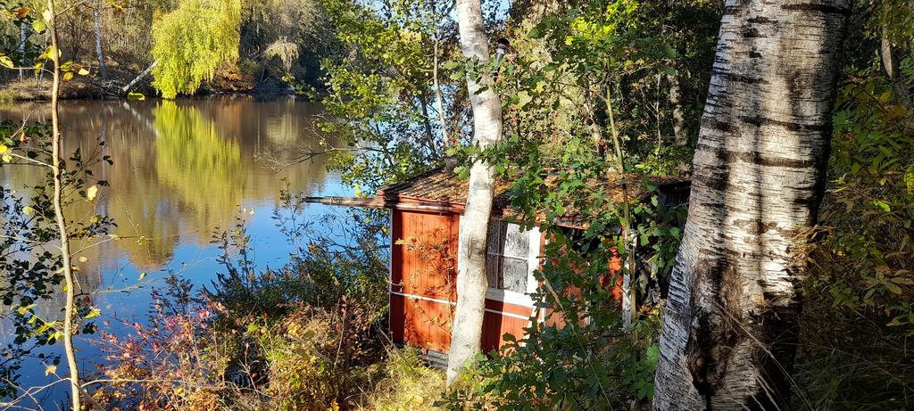 Bastu vid sjön