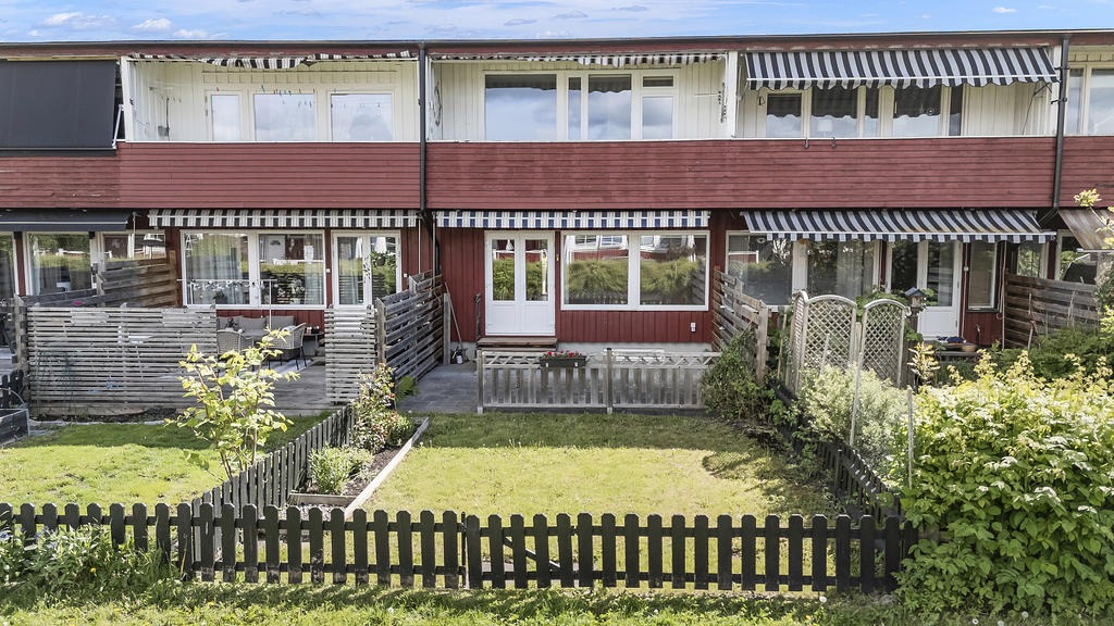 Baksida med lättskött trädgård