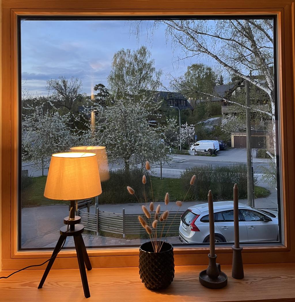 Säljarens egna bilder 