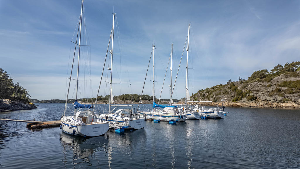 Omgivning Svineviken