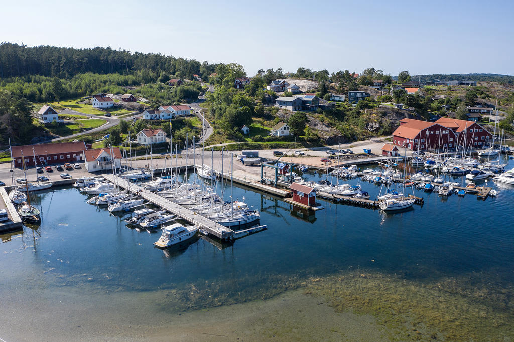 Omgivning Kungsviken