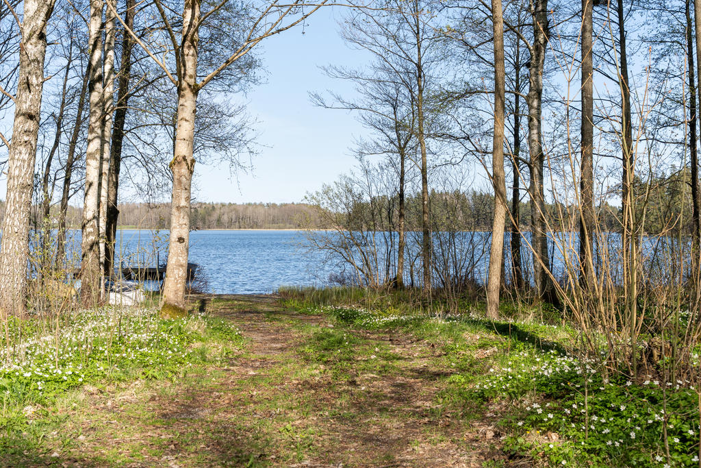 Väg ner till sjön Näsölen via vägförening. Nås på 10 minuters promenad, går även att köra bil. 