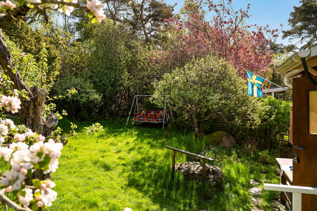 Lummig trädgård i nordost