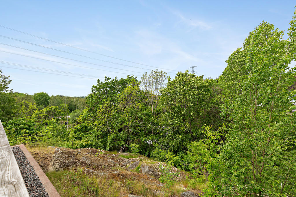 Nedanför terrassen finns bara  natur