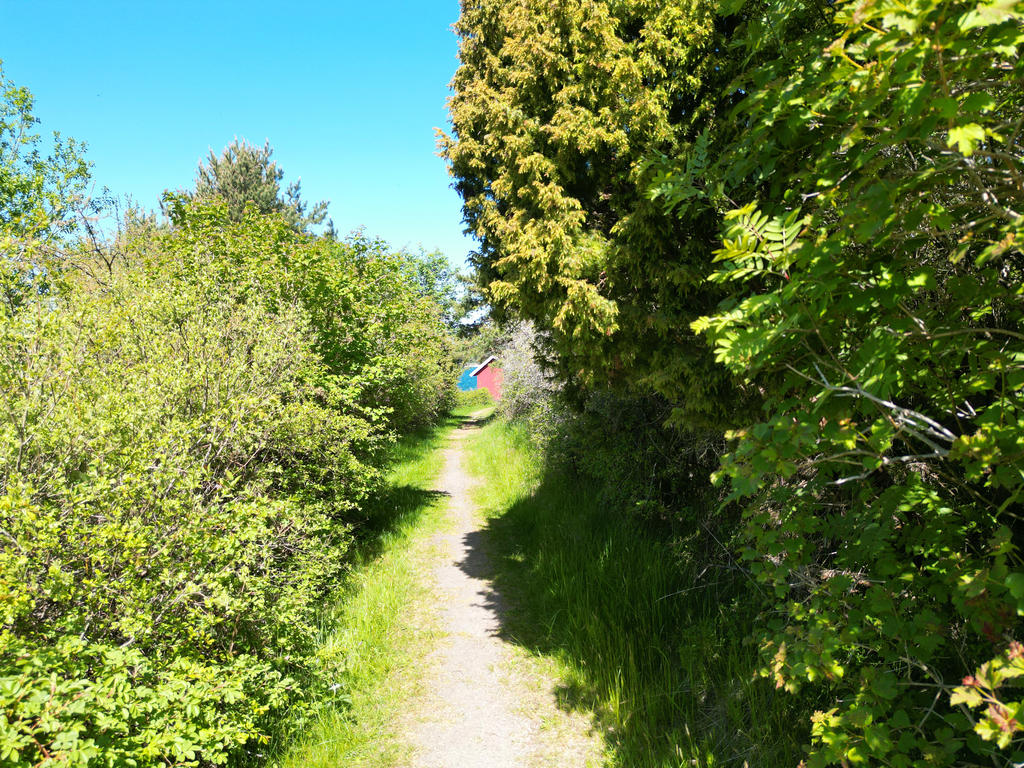 Härlig stig ner till stranden bara ca 5 minuter från huset!
