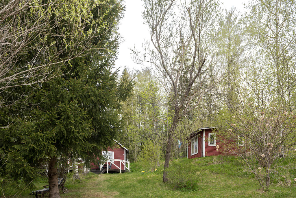 Framsida. 