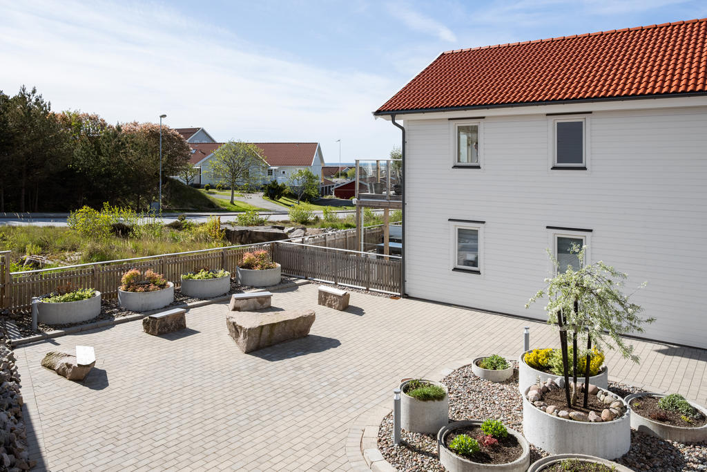 Föreningens ytor är väl iordning