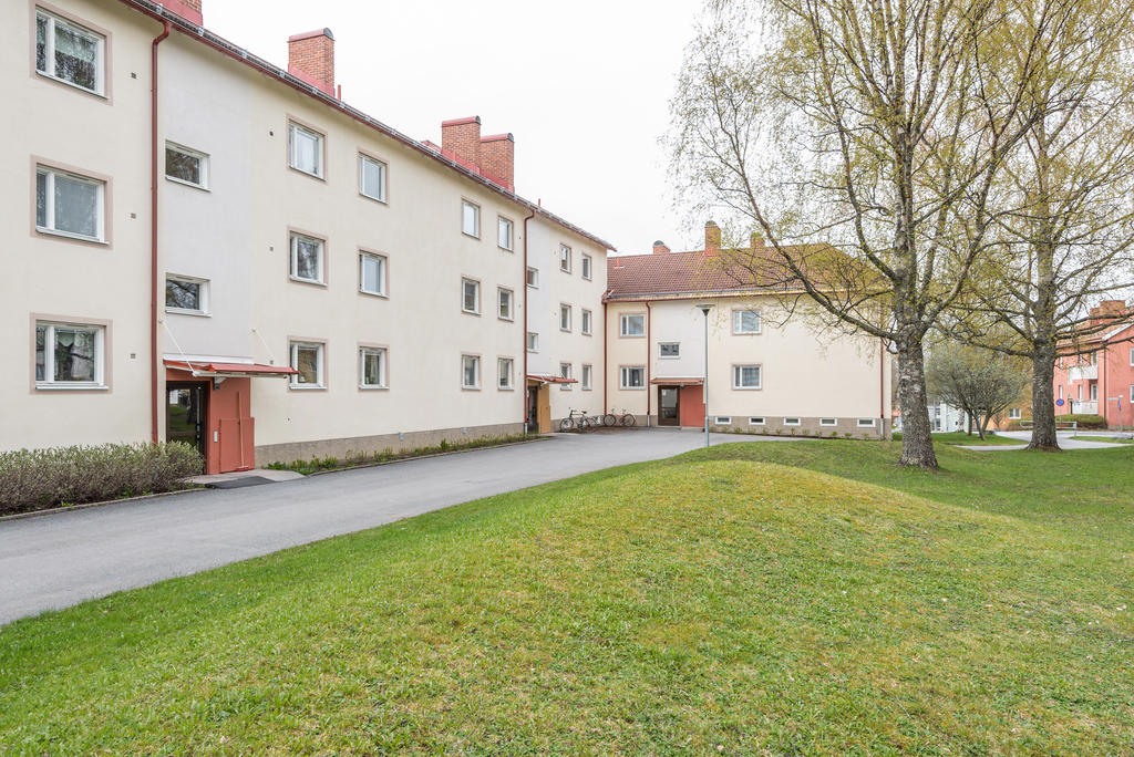 Stora härliga gräsytor ute på gården