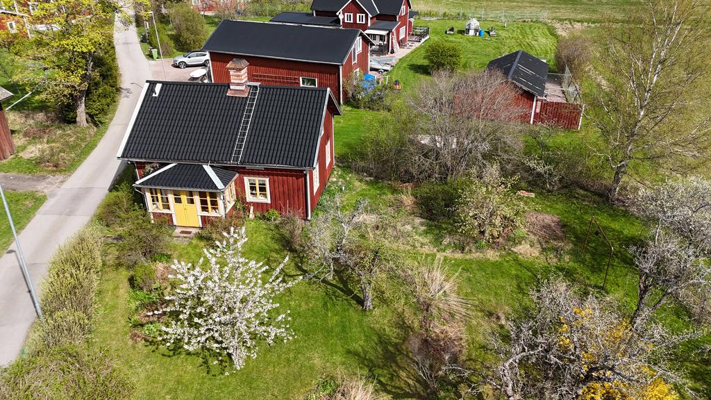 Vy över tomten