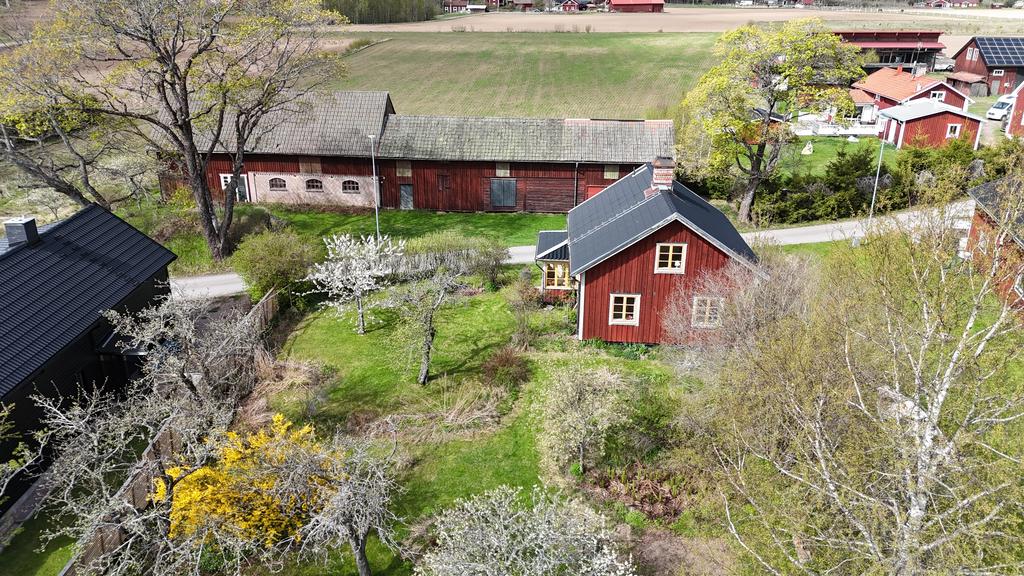 Vy över tomten