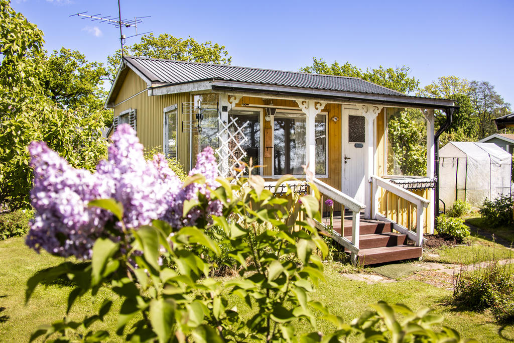 En liten dröm på sommarhalvåret