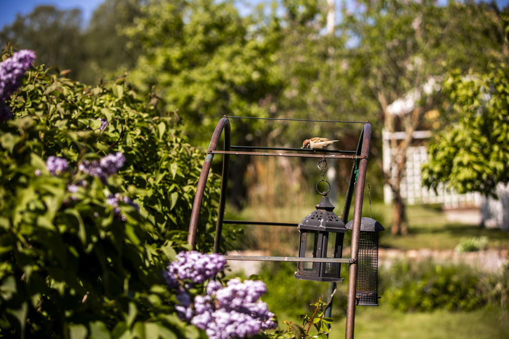 Detaljbild utomhus