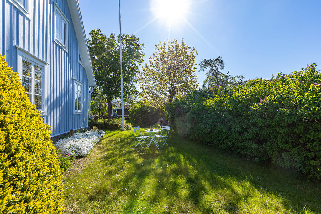 Trädgård