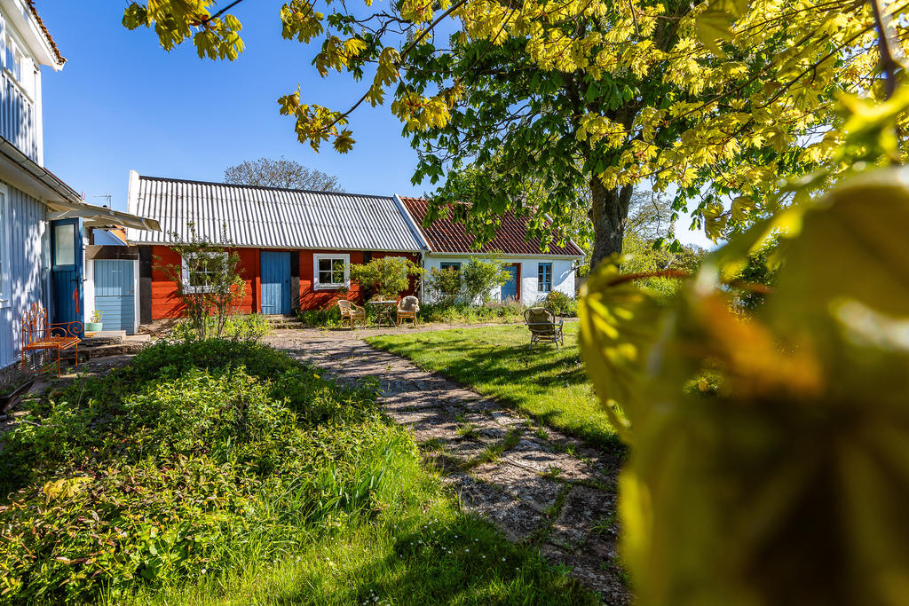 Mysig baksida med en inramad atmosfär. Gästhuset i rött och förrådet i den putsade byggnaden till höger.