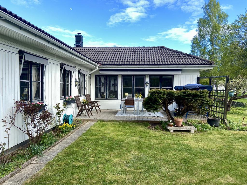 Solig altan och trädgård