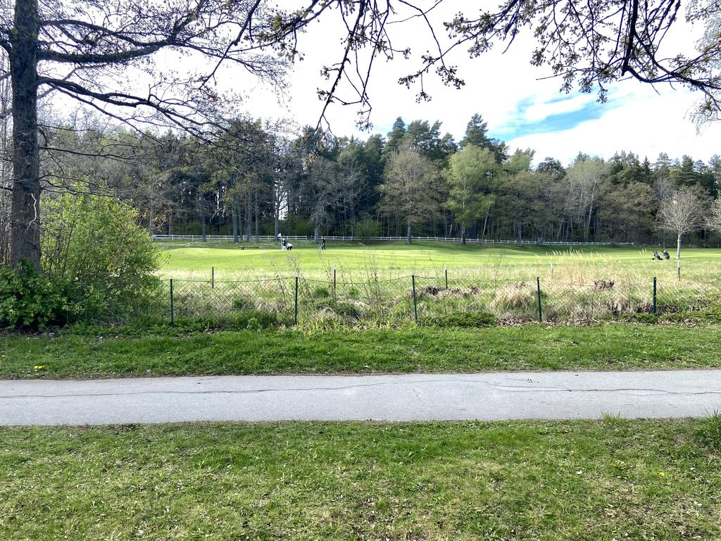 Golfbanan (11:e hål)