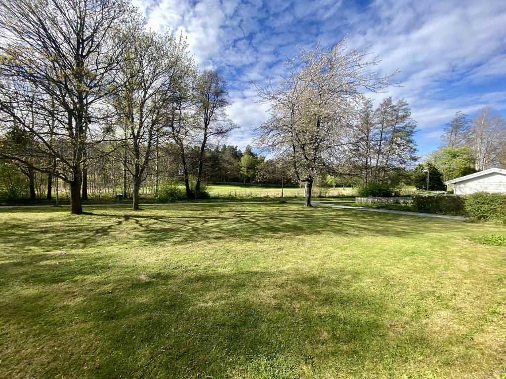 Almänningen mot golfbanan