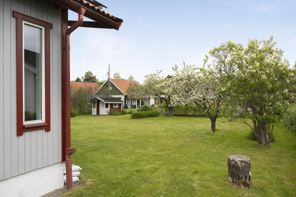 Trädgård