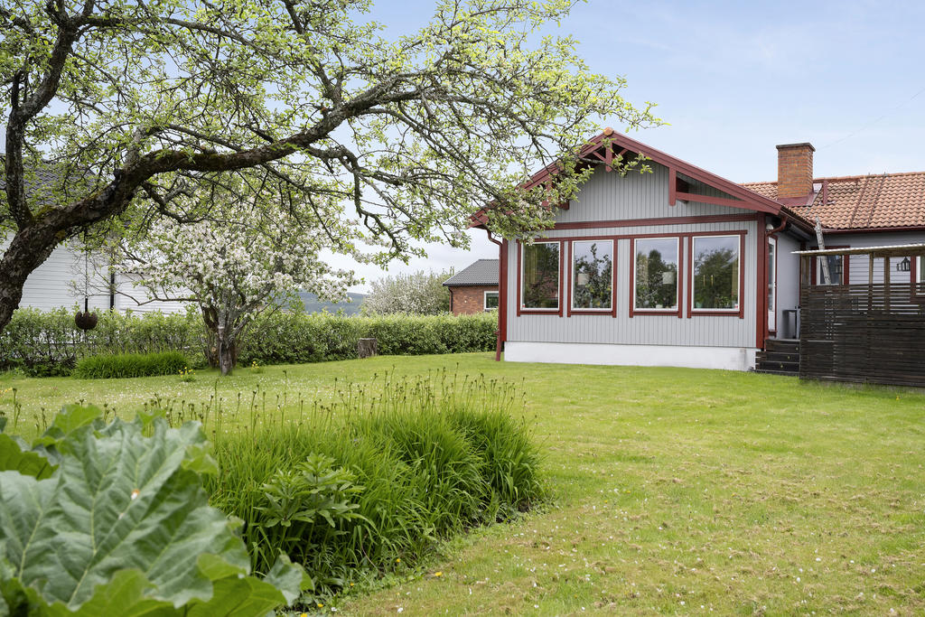 Trädgård