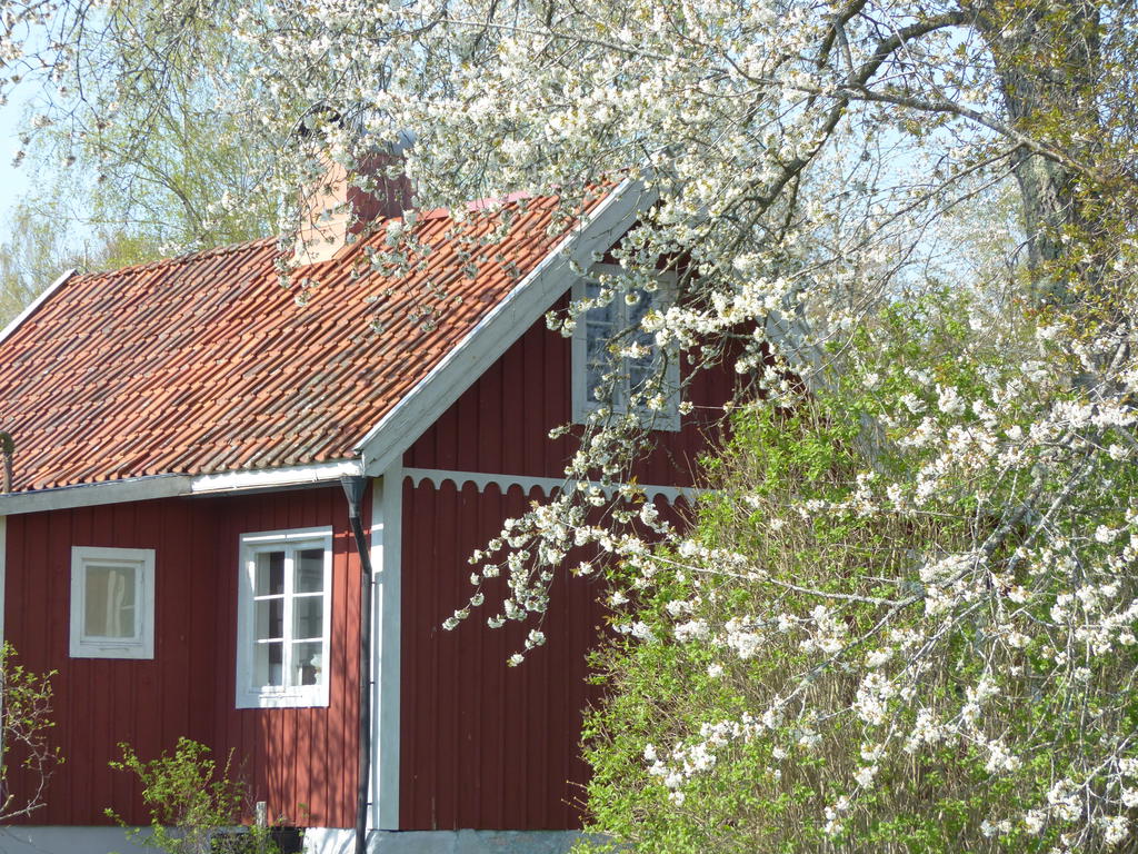 Säljarens egna bilder