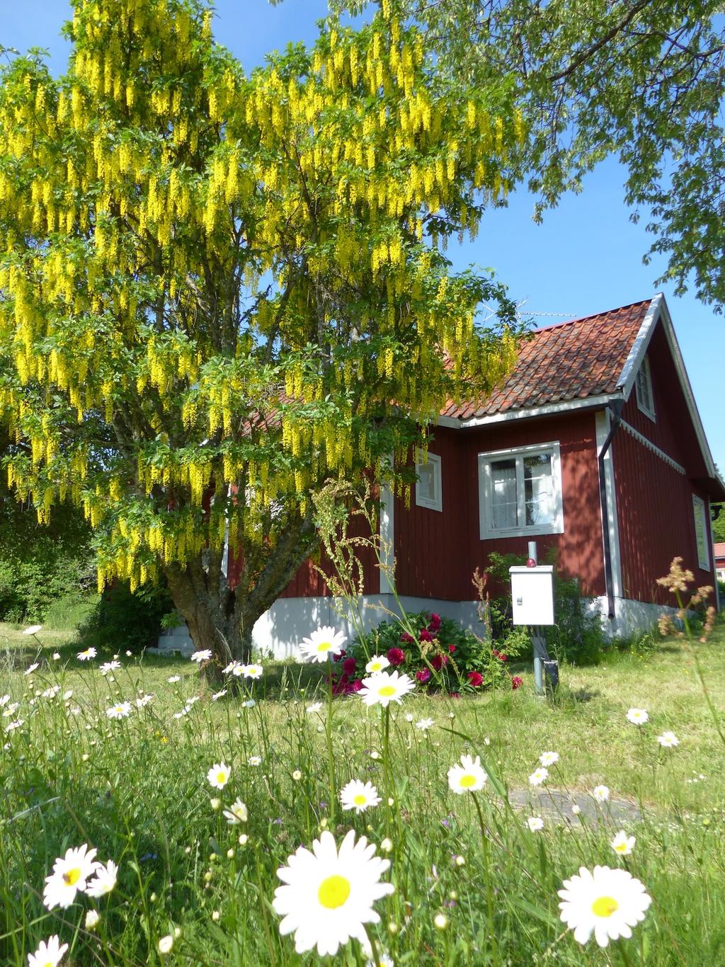 Säljarens egna bilder