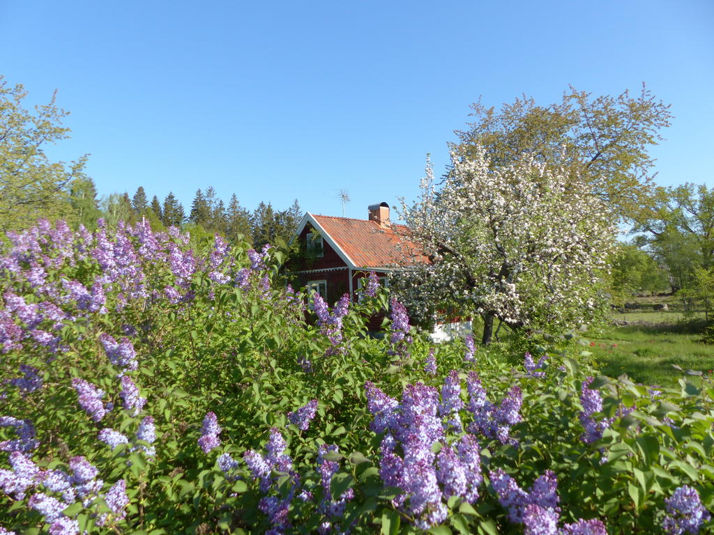 Säljarens egna bilder