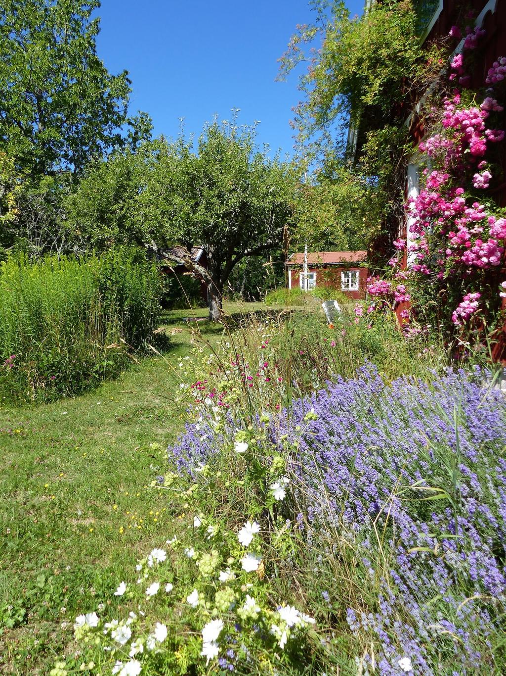 Säljarens egna bilder
