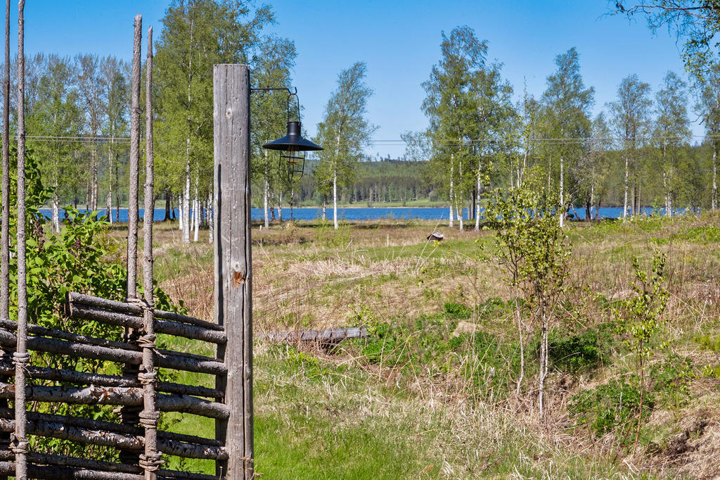 Område