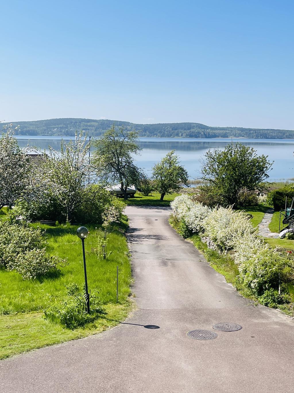 Säljarens egna bild
