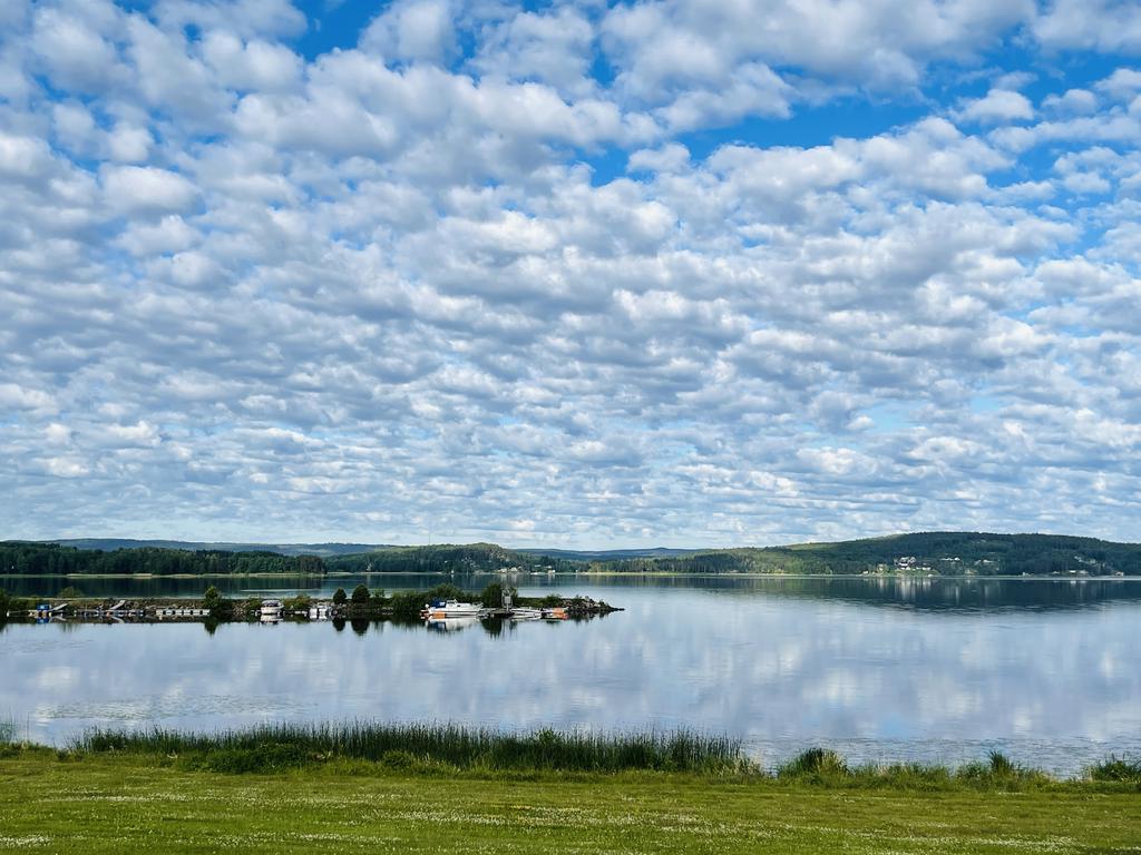 Säljarens egna bild