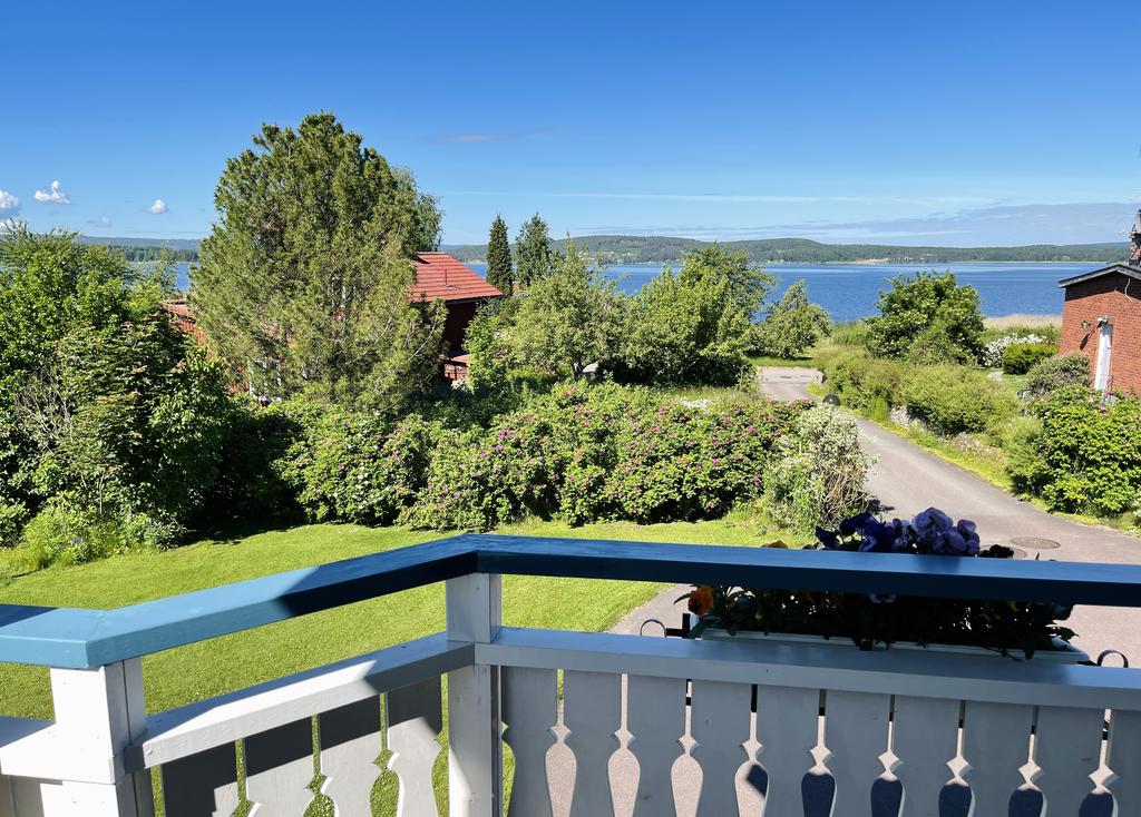 Säljarens egna bild