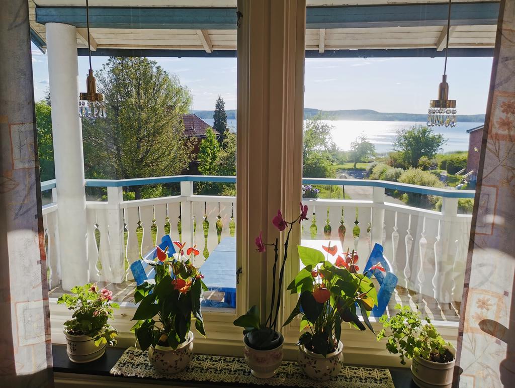 Säljarens egna bild