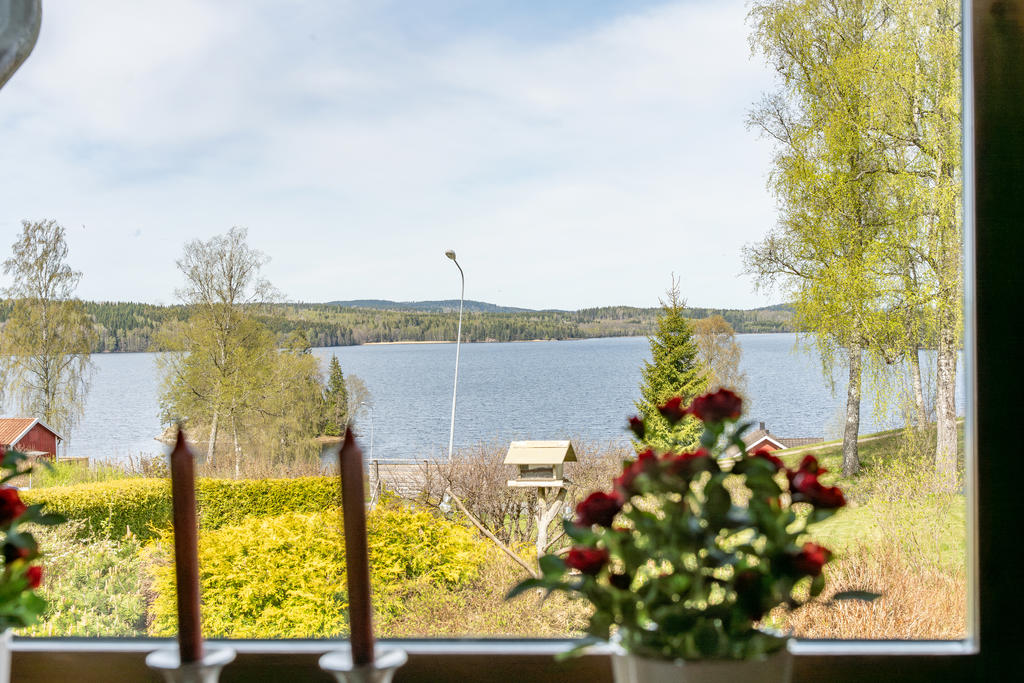 Utsikt från köksfönstret.